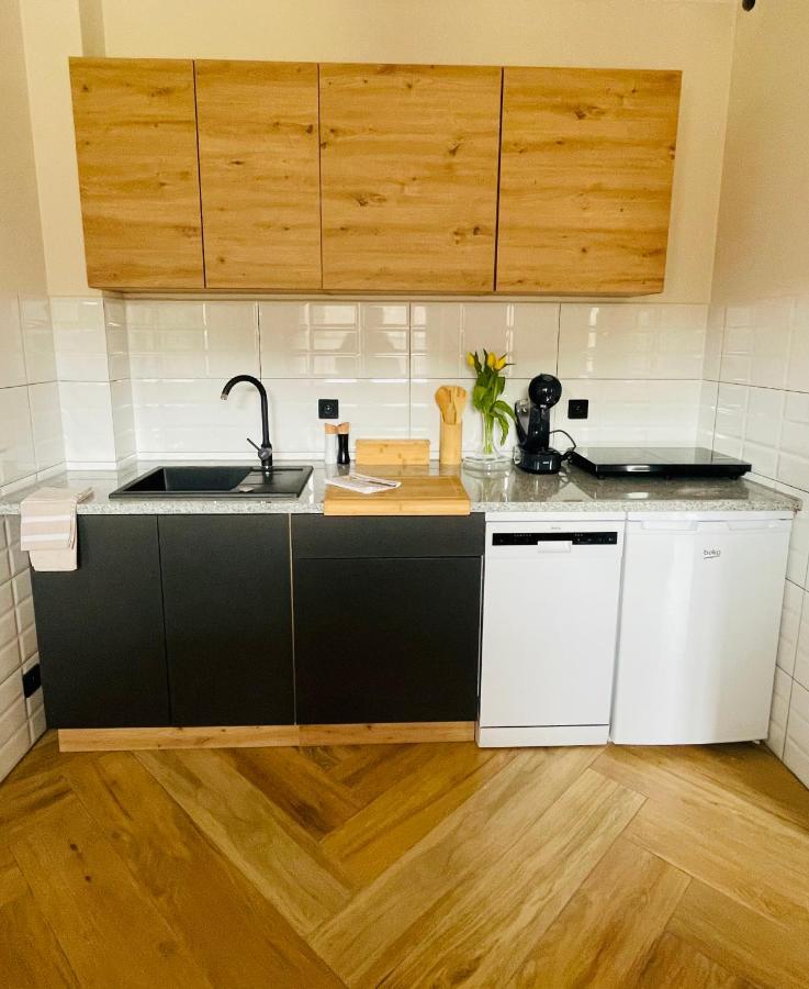 Gorska Cisza - Duzy, Komfortowy, Wyjatkowy Apartament Stronie Śląskie Exteriér fotografie
