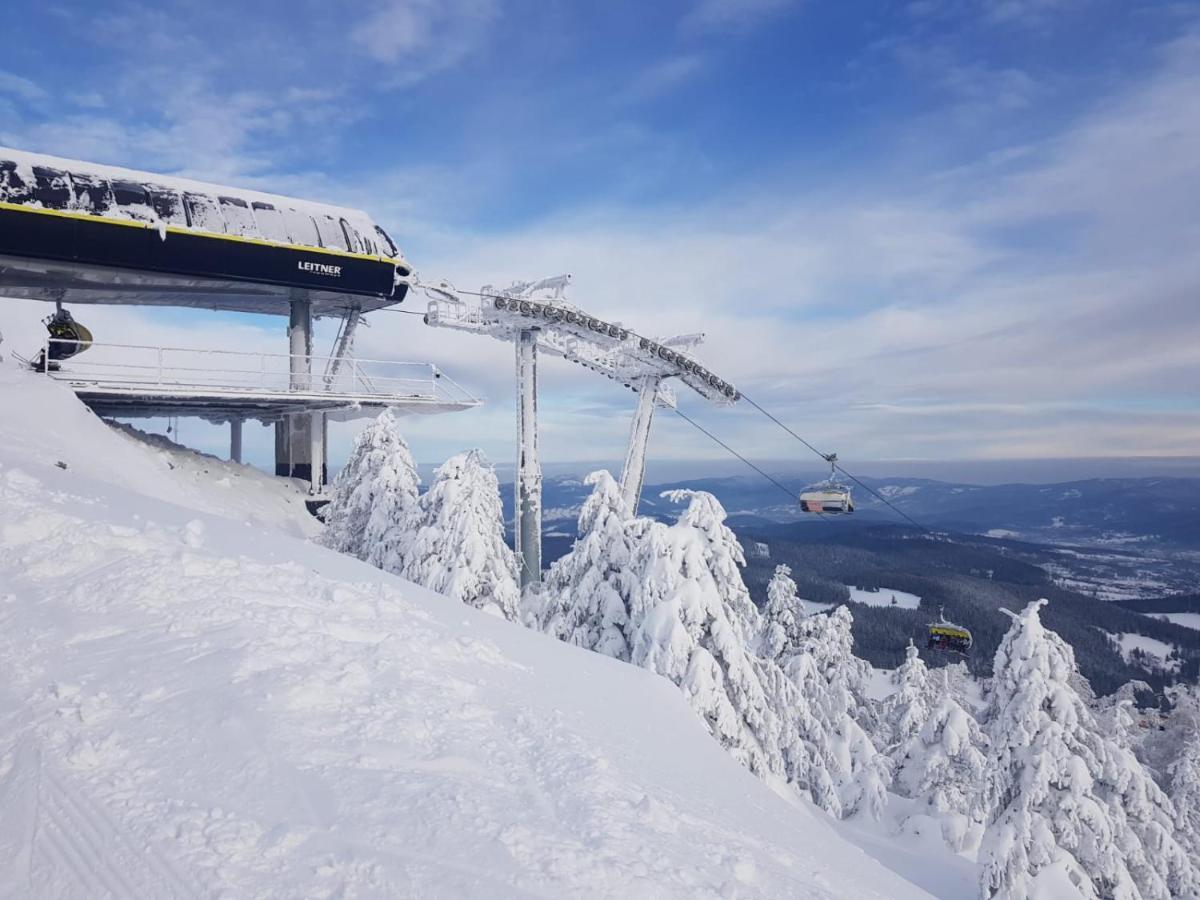 Gorska Cisza - Duzy, Komfortowy, Wyjatkowy Apartament Stronie Śląskie Exteriér fotografie