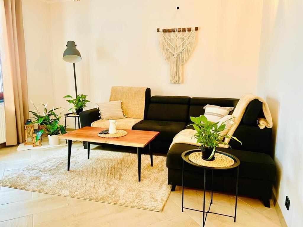 Gorska Cisza - Duzy, Komfortowy, Wyjatkowy Apartament Stronie Śląskie Exteriér fotografie