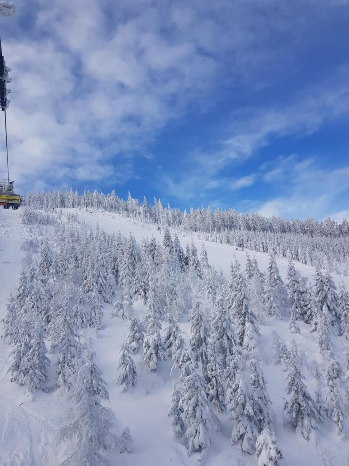 Gorska Cisza - Duzy, Komfortowy, Wyjatkowy Apartament Stronie Śląskie Exteriér fotografie