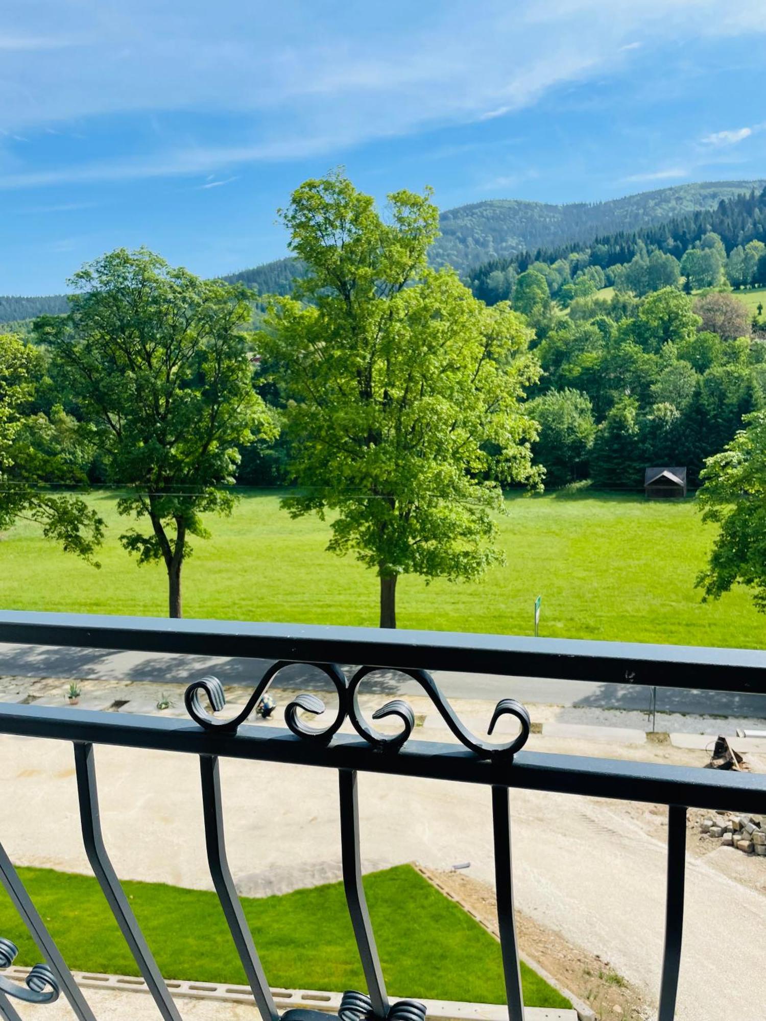 Gorska Cisza - Duzy, Komfortowy, Wyjatkowy Apartament Stronie Śląskie Exteriér fotografie