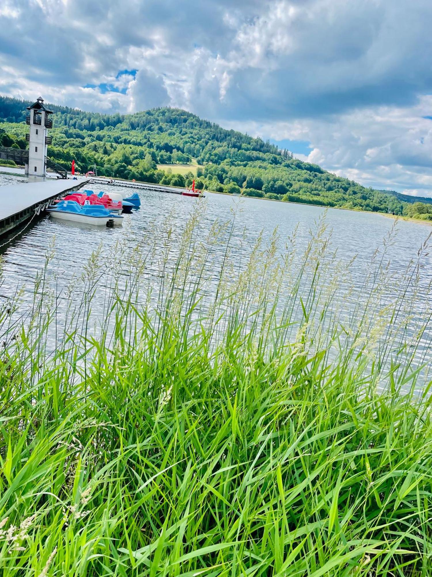 Gorska Cisza - Duzy, Komfortowy, Wyjatkowy Apartament Stronie Śląskie Exteriér fotografie