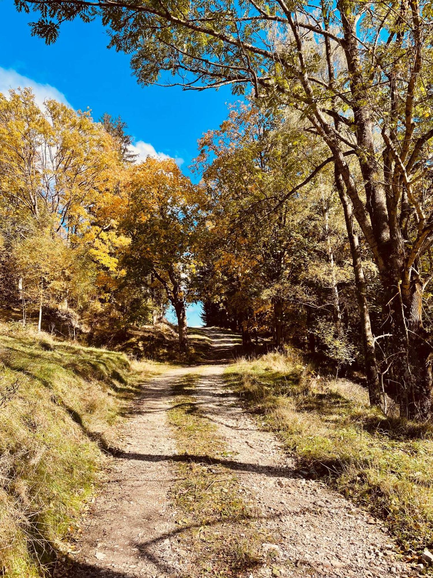Gorska Cisza - Duzy, Komfortowy, Wyjatkowy Apartament Stronie Śląskie Exteriér fotografie