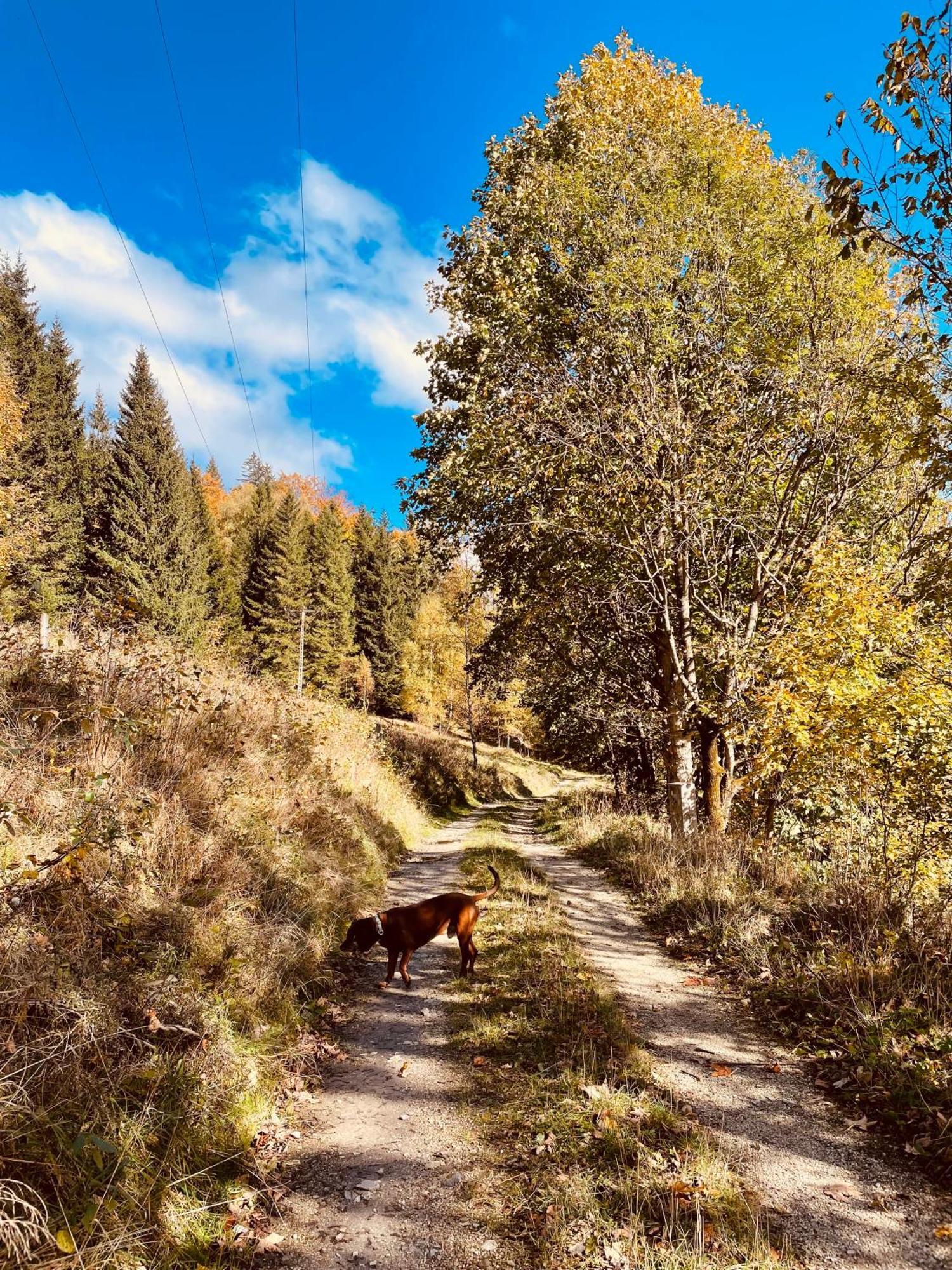 Gorska Cisza - Duzy, Komfortowy, Wyjatkowy Apartament Stronie Śląskie Exteriér fotografie